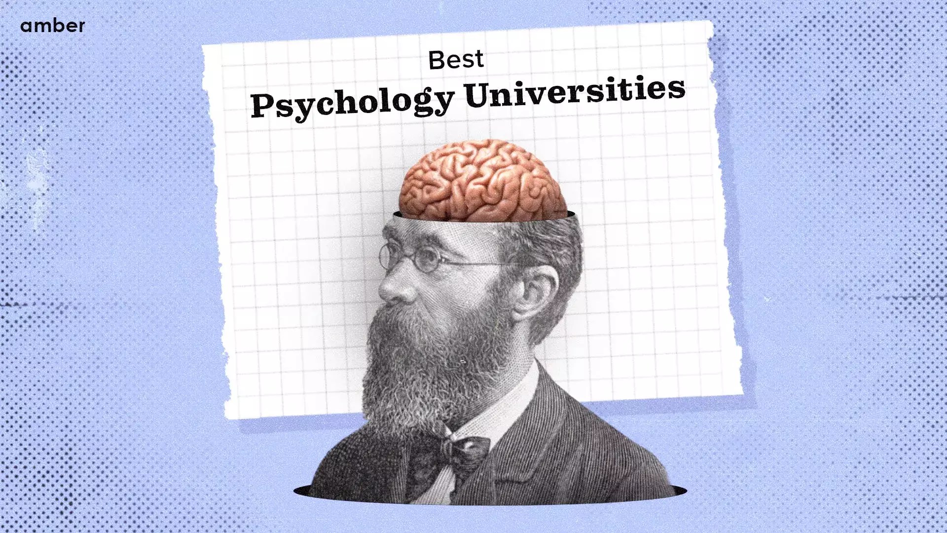 10 Best Psychology Universities For Psych Majors Amber